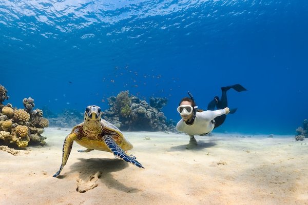 Où trouver les meilleurs spots pour la plongée sous-marine autour de la Grande Barrière de Corail, Australie?